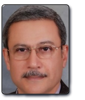 Dr. Mohamed H. M. Hassan